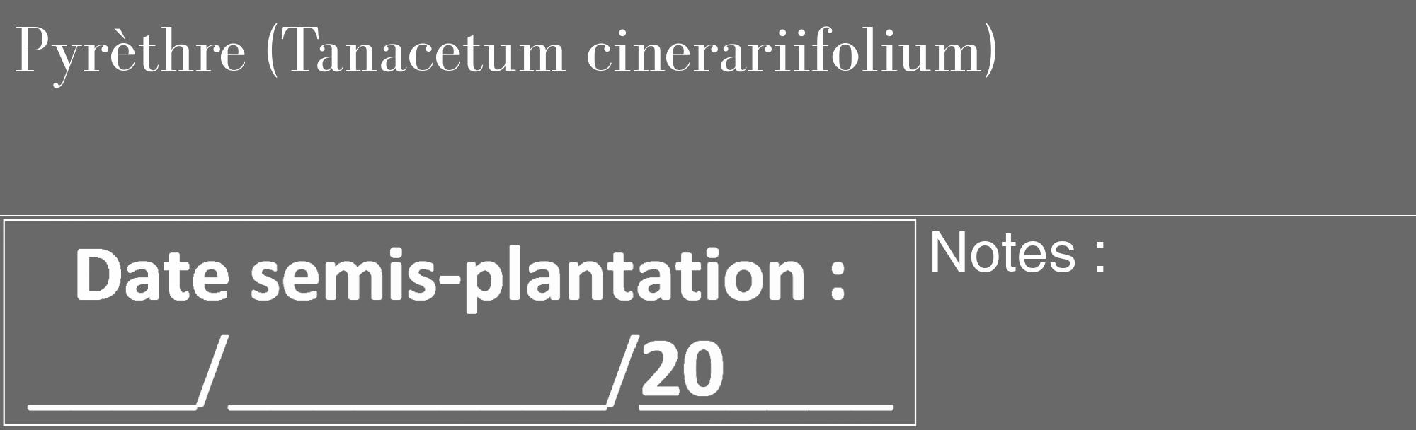 Étiquette de : Tanacetum cinerariifolium - format c - style blanche11_basique_basiquebod avec comestibilité