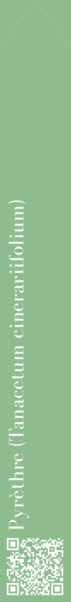 Étiquette de : Tanacetum cinerariifolium - format c - style blanche13_simplebod avec qrcode et comestibilité