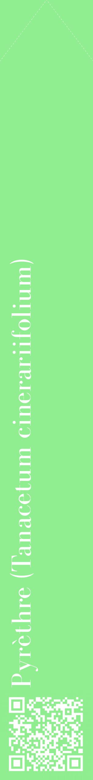 Étiquette de : Tanacetum cinerariifolium - format c - style blanche15_simplebod avec qrcode et comestibilité