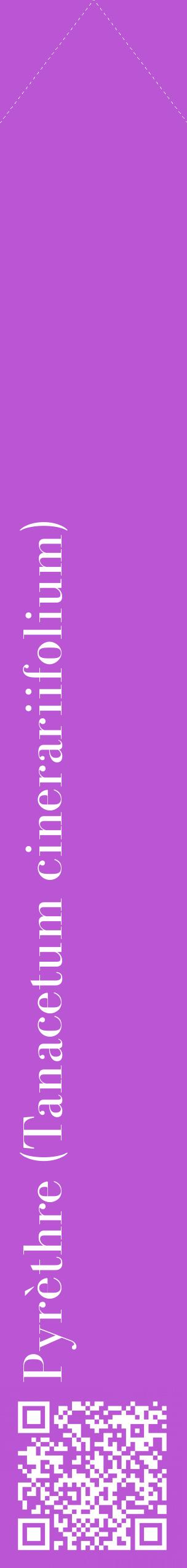 Étiquette de : Tanacetum cinerariifolium - format c - style blanche50_simplebod avec qrcode et comestibilité