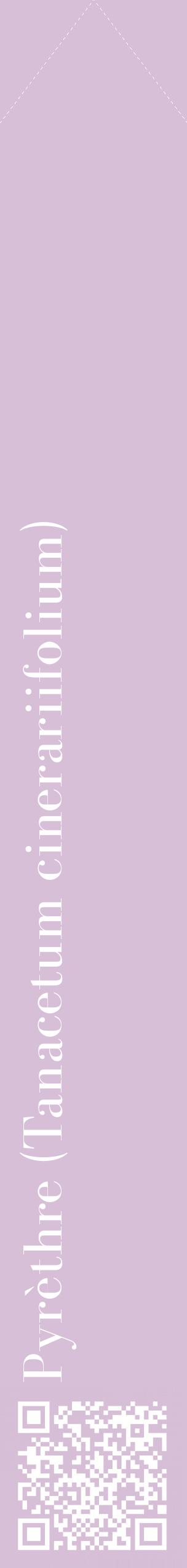 Étiquette de : Tanacetum cinerariifolium - format c - style blanche54_simplebod avec qrcode et comestibilité