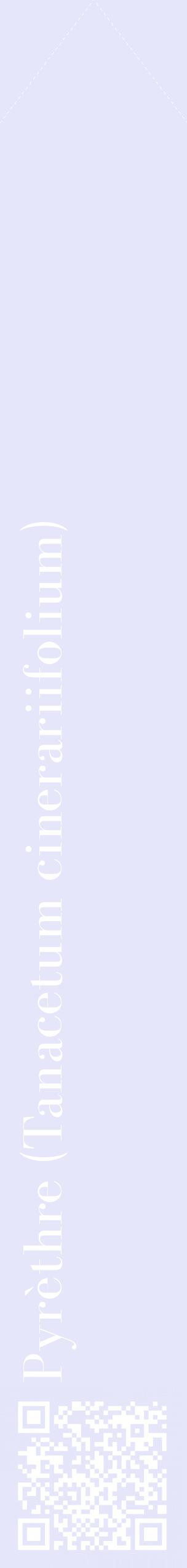 Étiquette de : Tanacetum cinerariifolium - format c - style blanche55_simplebod avec qrcode et comestibilité
