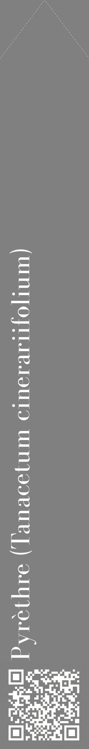 Étiquette de : Tanacetum cinerariifolium - format c - style blanche57_simplebod avec qrcode et comestibilité
