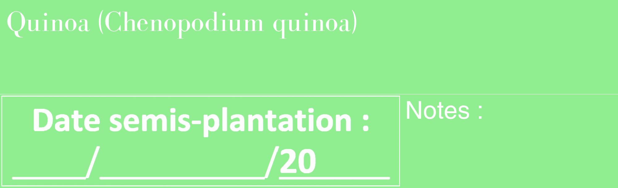 Étiquette de : Chenopodium quinoa - format c - style blanche15_basique_basiquebod avec comestibilité