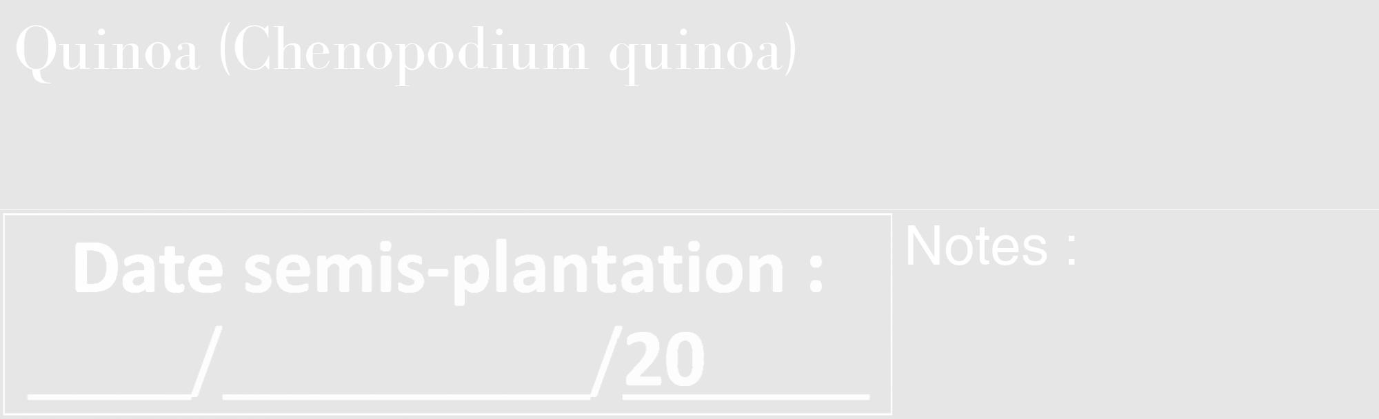 Étiquette de : Chenopodium quinoa - format c - style blanche18_basique_basiquebod avec comestibilité