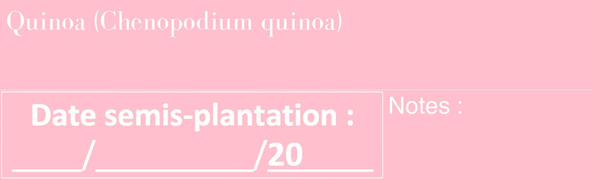 Étiquette de : Chenopodium quinoa - format c - style blanche40_basique_basiquebod avec comestibilité