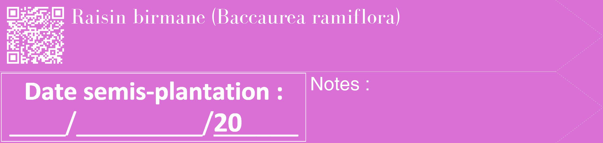 Étiquette de : Baccaurea ramiflora - format c - style blanche52_simple_simplebod avec qrcode et comestibilité
