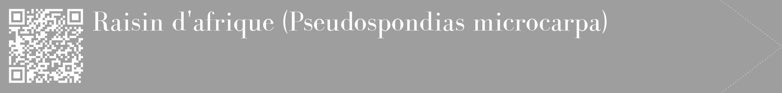 Étiquette de : Pseudospondias microcarpa - format c - style blanche42_simple_simplebod avec qrcode et comestibilité