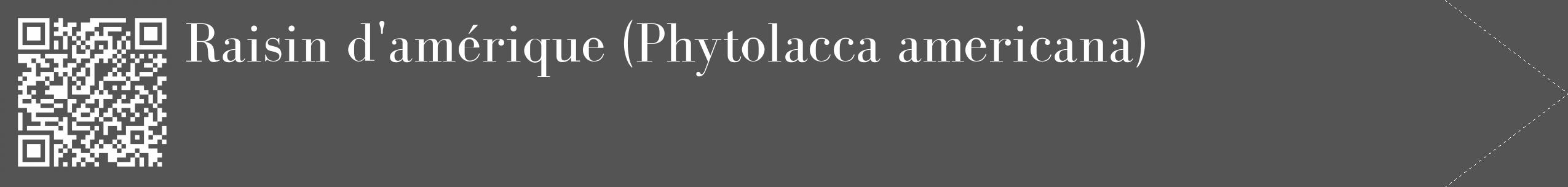 Étiquette de : Phytolacca americana - format c - style blanche36_simple_simplebod avec qrcode et comestibilité