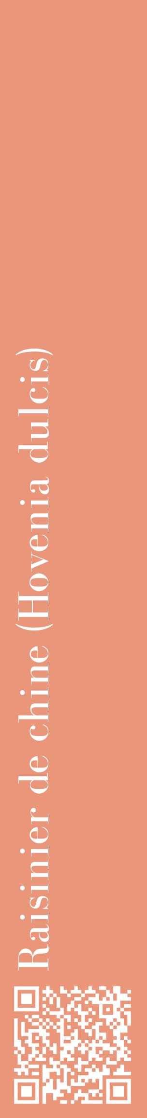 Étiquette de : Hovenia dulcis - format c - style blanche37_basiquebod avec qrcode et comestibilité