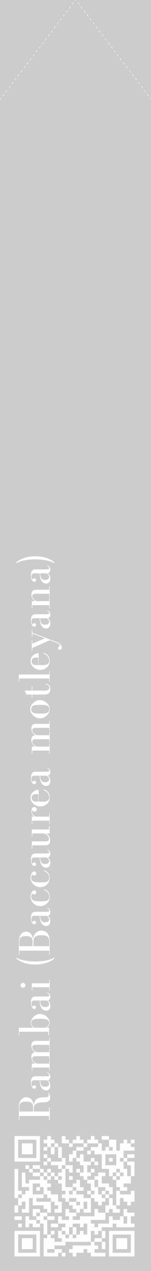 Étiquette de : Baccaurea motleyana - format c - style blanche0_simple_simplebod avec qrcode et comestibilité - position verticale