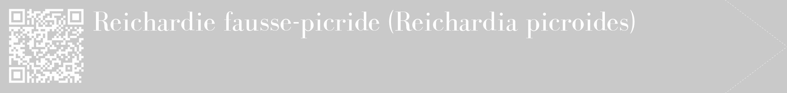 Étiquette de : Reichardia picroides - format c - style blanche54_simple_simplebod avec qrcode et comestibilité