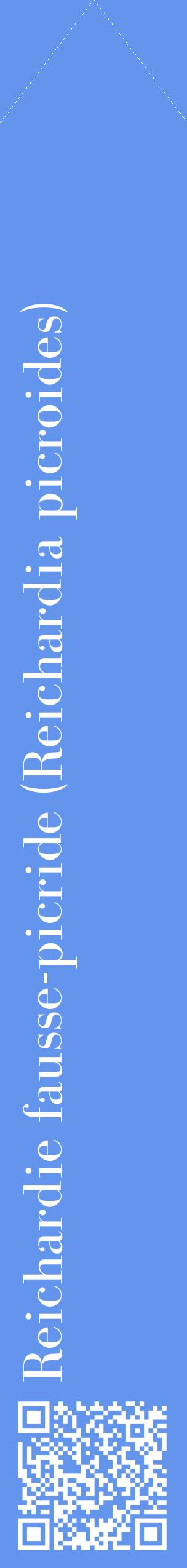 Étiquette de : Reichardia picroides - format c - style blanche4_simplebod avec qrcode et comestibilité