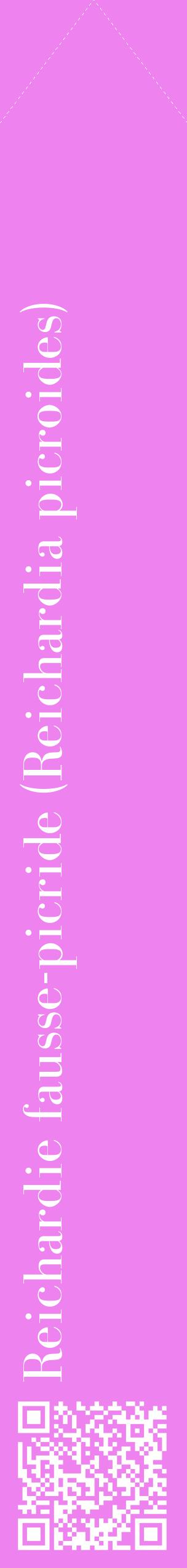 Étiquette de : Reichardia picroides - format c - style blanche53_simplebod avec qrcode et comestibilité
