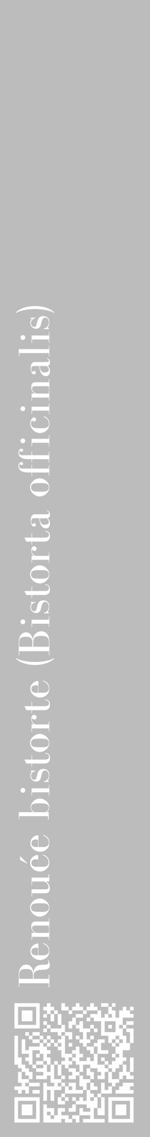 Étiquette de : Bistorta officinalis - format c - style blanche1_basique_basiquebod avec qrcode et comestibilité - position verticale
