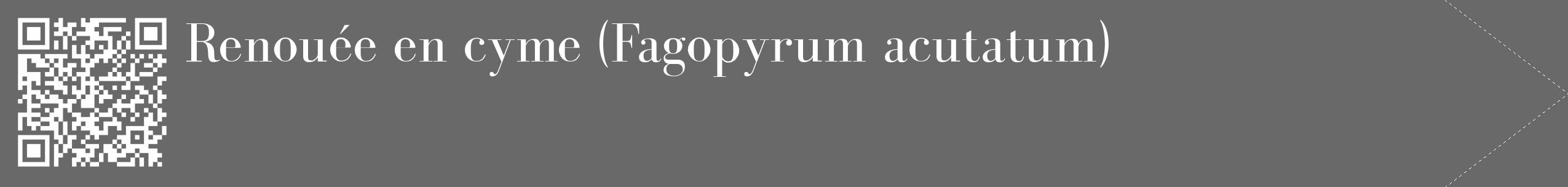 Étiquette de : Fagopyrum acutatum - format c - style blanche11_simple_simplebod avec qrcode et comestibilité