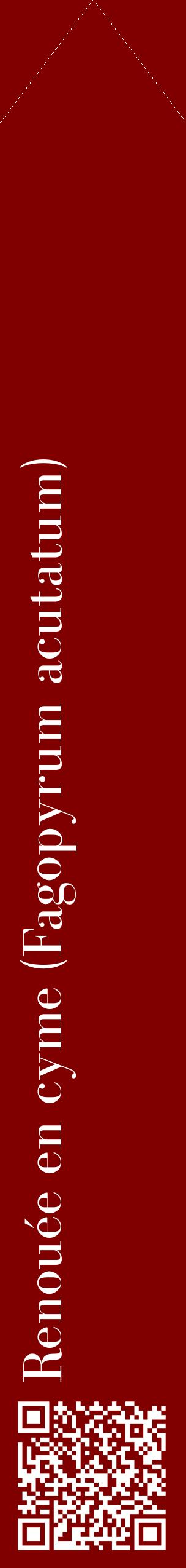 Étiquette de : Fagopyrum acutatum - format c - style blanche29_simplebod avec qrcode et comestibilité