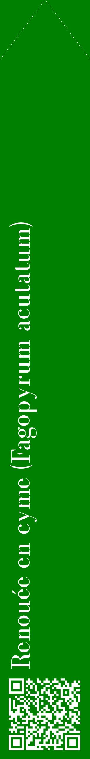 Étiquette de : Fagopyrum acutatum - format c - style blanche9_simplebod avec qrcode et comestibilité