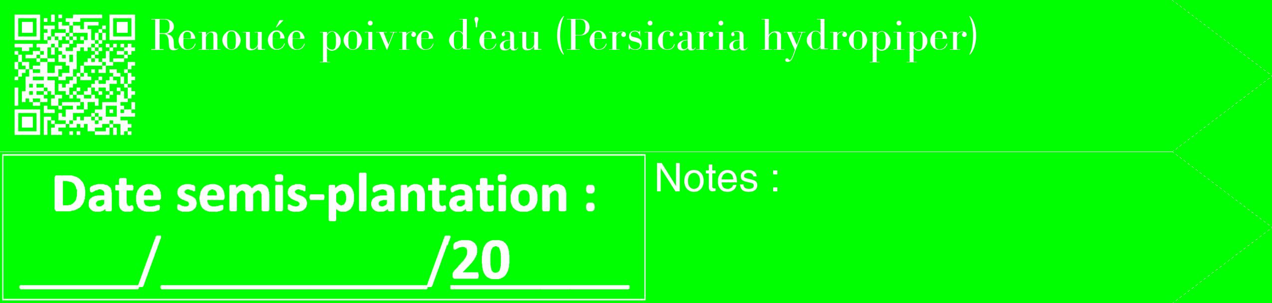 Étiquette de : Persicaria hydropiper - format c - style blanche16_simple_simplebod avec qrcode et comestibilité
