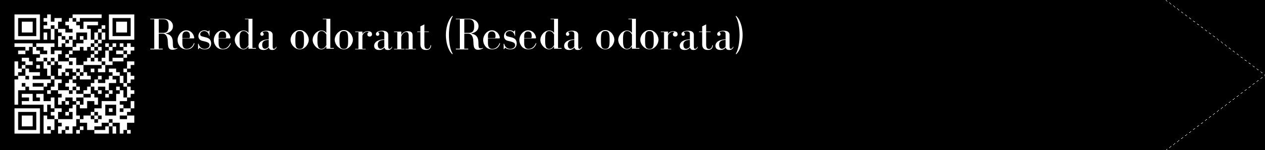 Étiquette de : Reseda odorata - format c - style blanche59_simple_simplebod avec qrcode et comestibilité