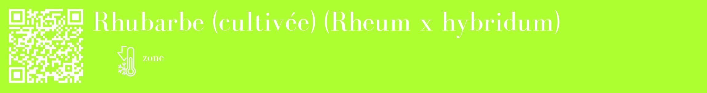 Étiquette de : Rheum x hybridum - format c - style blanche17_basique_basiquebod avec qrcode et comestibilité
