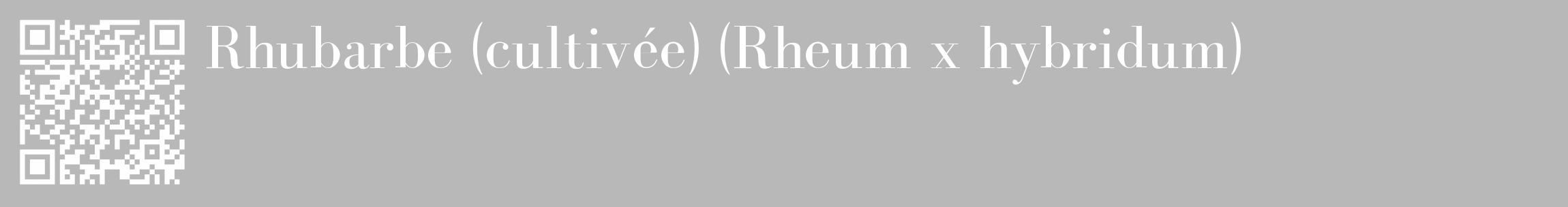 Étiquette de : Rheum x hybridum - format c - style blanche39_basique_basiquebod avec qrcode et comestibilité