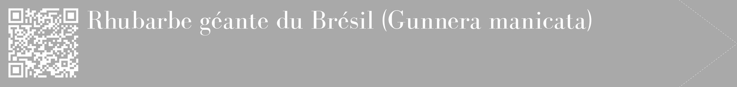 Étiquette de : Gunnera manicata - format c - style blanche13_simple_simplebod avec qrcode et comestibilité