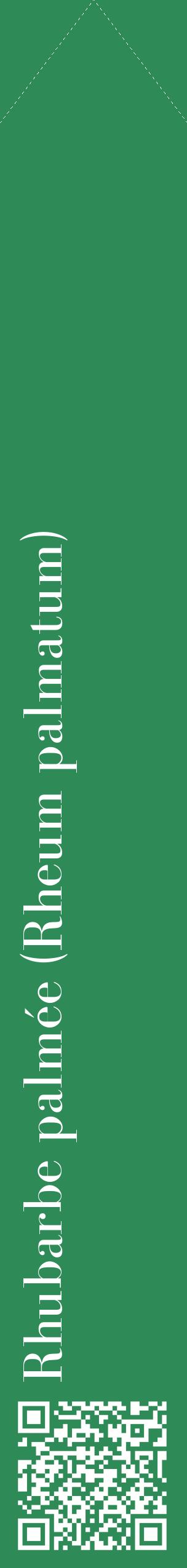 Étiquette de : Rheum palmatum - format c - style blanche11_simplebod avec qrcode et comestibilité