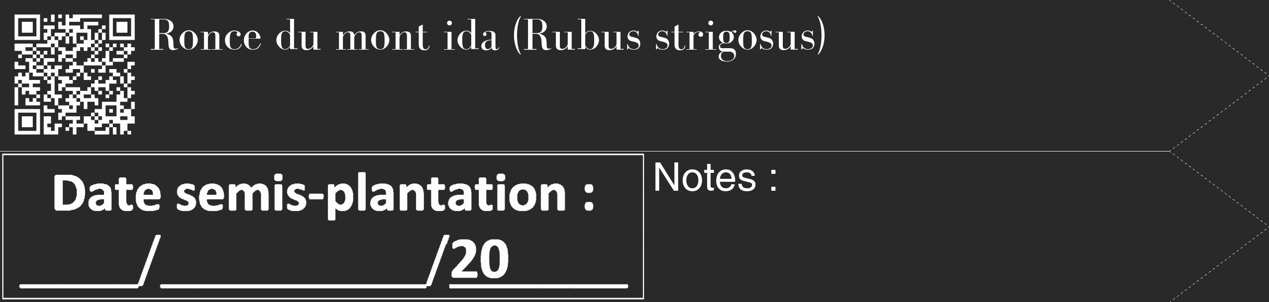 Étiquette de : Rubus strigosus - format c - style blanche34_simple_simplebod avec qrcode et comestibilité