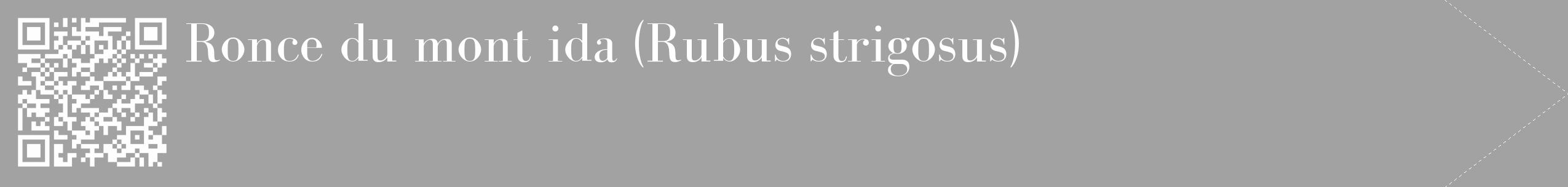 Étiquette de : Rubus strigosus - format c - style blanche38_simple_simplebod avec qrcode et comestibilité