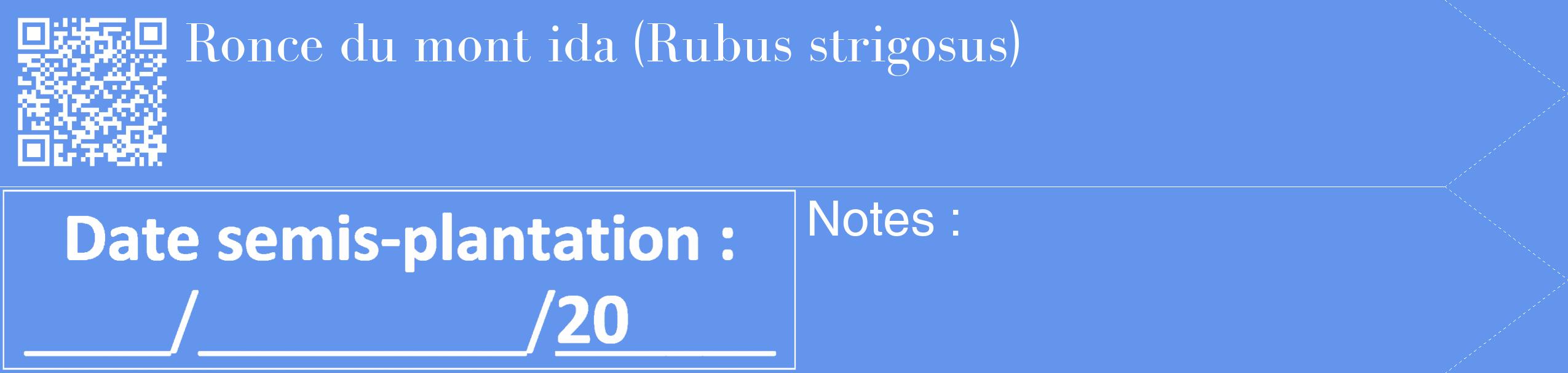 Étiquette de : Rubus strigosus - format c - style blanche4_simple_simplebod avec qrcode et comestibilité