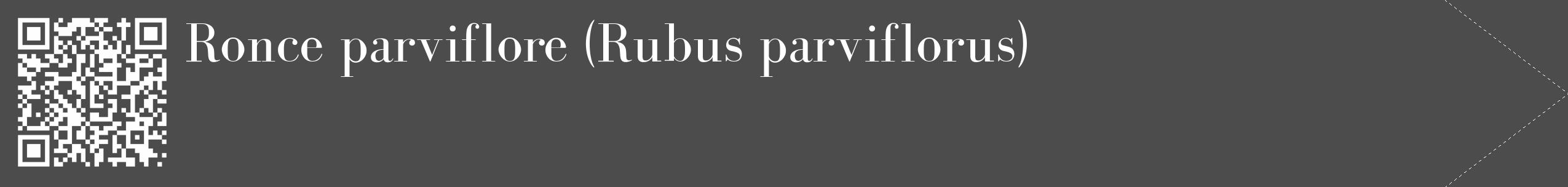 Étiquette de : Rubus parviflorus - format c - style blanche27_simple_simplebod avec qrcode et comestibilité