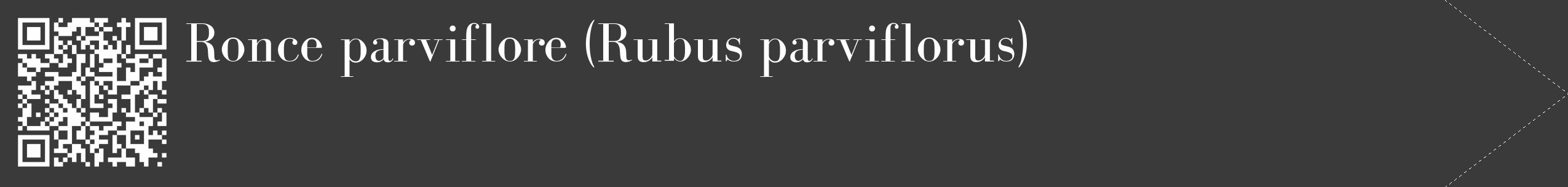 Étiquette de : Rubus parviflorus - format c - style blanche8_simple_simplebod avec qrcode et comestibilité