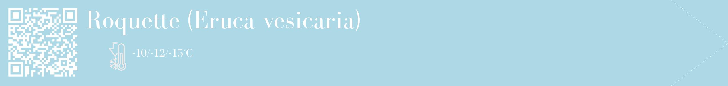 Étiquette de : Eruca vesicaria - format c - style blanche0_simple_simplebod avec qrcode et comestibilité
