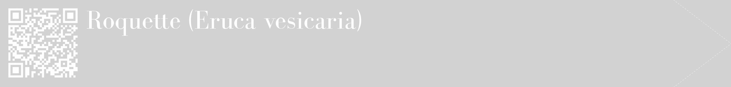 Étiquette de : Eruca vesicaria - format c - style blanche14_simple_simplebod avec qrcode et comestibilité