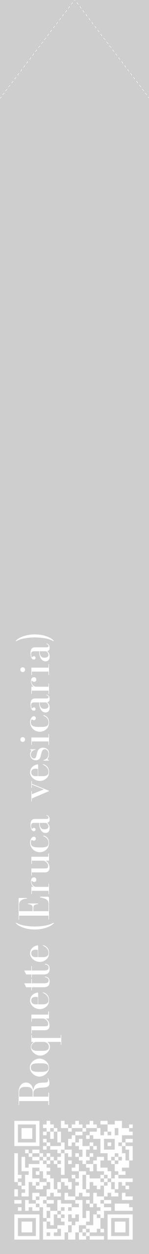 Étiquette de : Eruca vesicaria - format c - style blanche17_simple_simplebod avec qrcode et comestibilité - position verticale