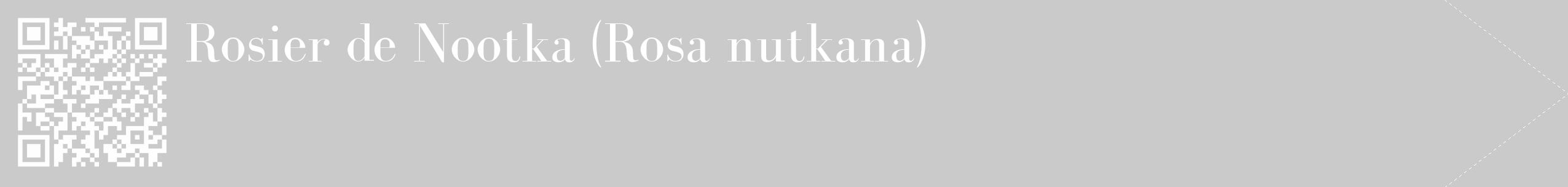 Étiquette de : Rosa nutkana - format c - style blanche21_simple_simplebod avec qrcode et comestibilité