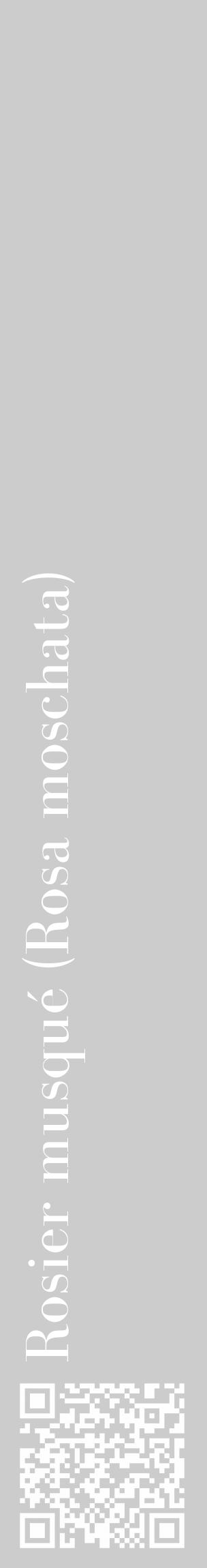 Étiquette de : Rosa moschata - format c - style blanche0_basique_basiquebod avec qrcode et comestibilité - position verticale
