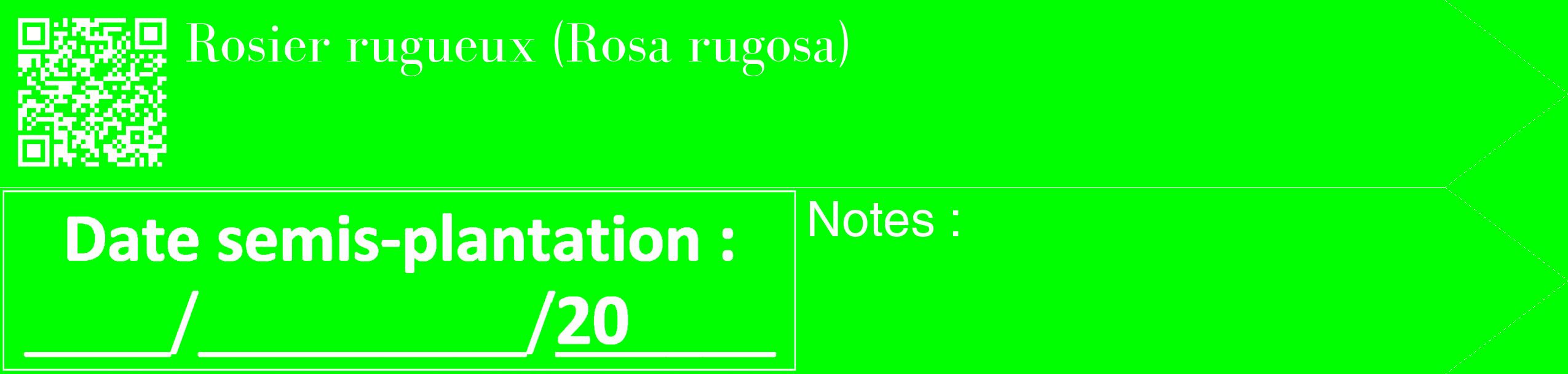 Étiquette de : Rosa rugosa - format c - style blanche16_simple_simplebod avec qrcode et comestibilité