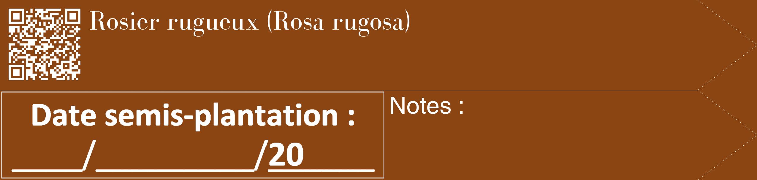 Étiquette de : Rosa rugosa - format c - style blanche30_simple_simplebod avec qrcode et comestibilité