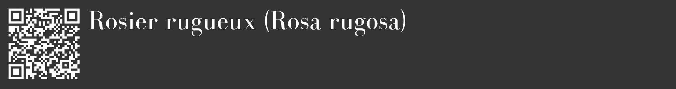 Étiquette de : Rosa rugosa - format c - style blanche46_basique_basiquebod avec qrcode et comestibilité