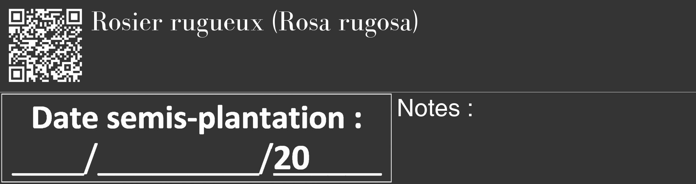Étiquette de : Rosa rugosa - format c - style blanche46_basique_basiquebod avec qrcode et comestibilité