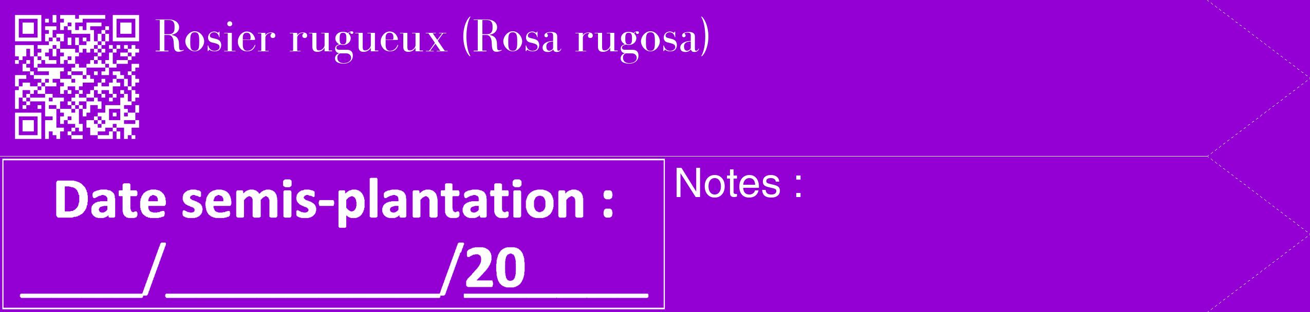 Étiquette de : Rosa rugosa - format c - style blanche48_simple_simplebod avec qrcode et comestibilité
