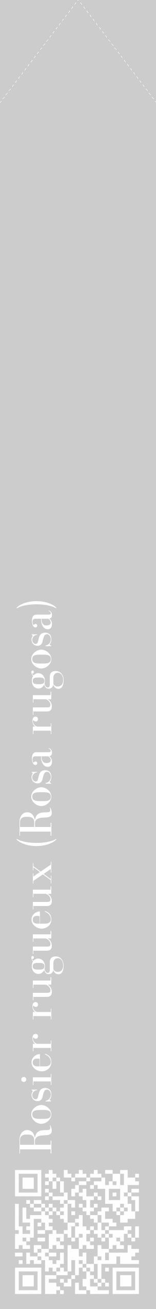 Étiquette de : Rosa rugosa - format c - style blanche0_simple_simplebod avec qrcode et comestibilité - position verticale