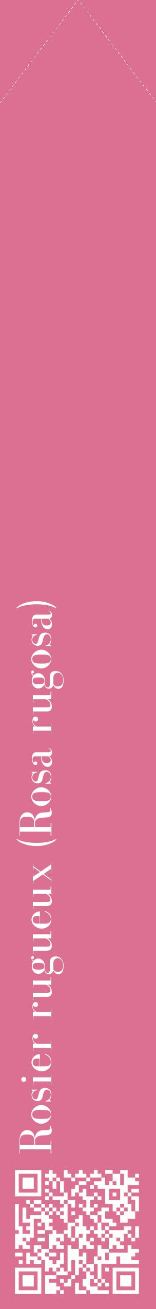 Étiquette de : Rosa rugosa - format c - style blanche44_simplebod avec qrcode et comestibilité