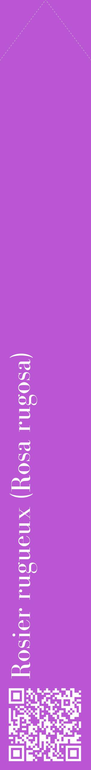 Étiquette de : Rosa rugosa - format c - style blanche50_simplebod avec qrcode et comestibilité