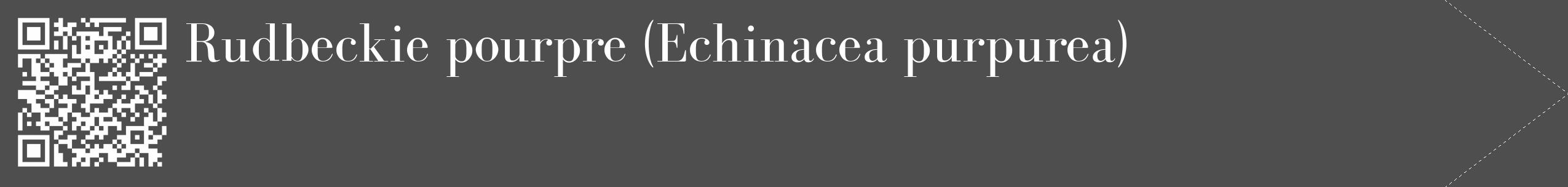 Étiquette de : Echinacea purpurea - format c - style blanche33_simple_simplebod avec qrcode et comestibilité
