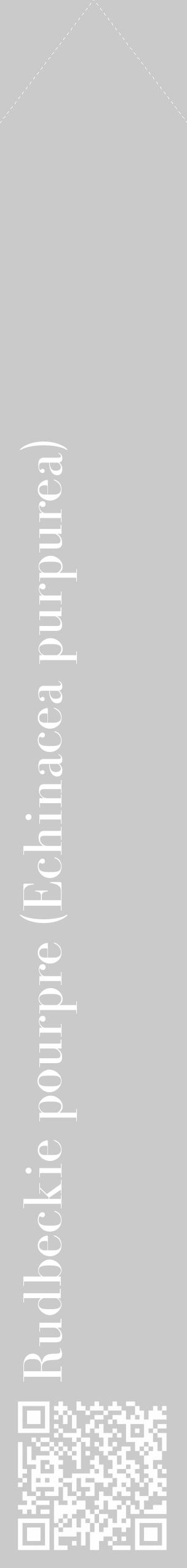 Étiquette de : Echinacea purpurea - format c - style blanche21_simple_simplebod avec qrcode et comestibilité - position verticale