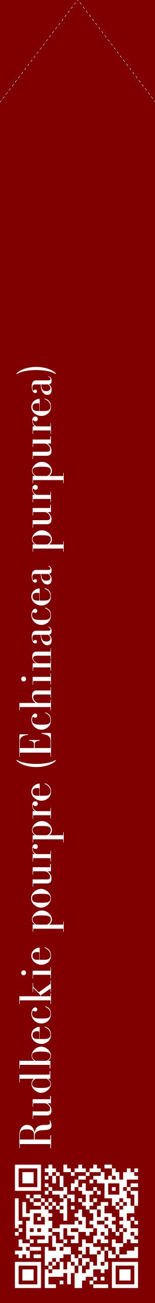 Étiquette de : Echinacea purpurea - format c - style blanche29_simplebod avec qrcode et comestibilité