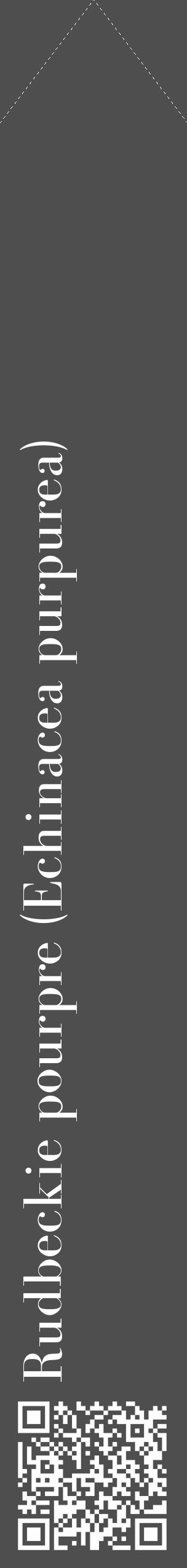 Étiquette de : Echinacea purpurea - format c - style blanche33_simple_simplebod avec qrcode et comestibilité - position verticale